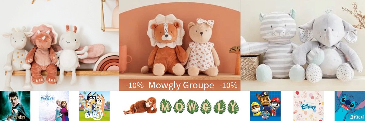 Mowgly Groupe Srl